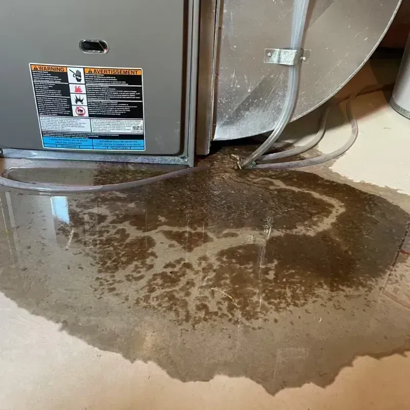 Appliance Leak Cleanup in Gardner, KS